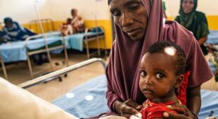 About Somalia Humanitarian Fund (SHF)